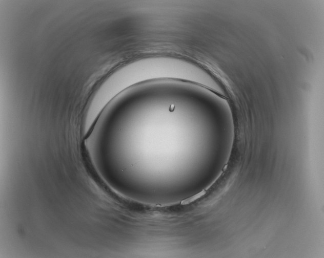 X0000114520585200910191156