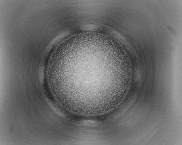 X0000114520586200910191156