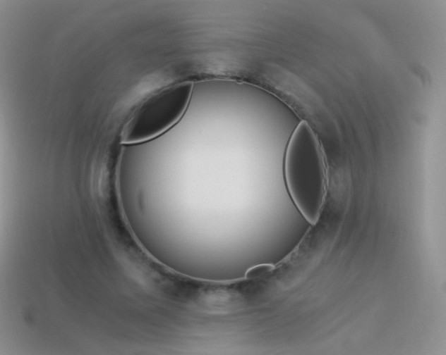 X0000114520587200910191156