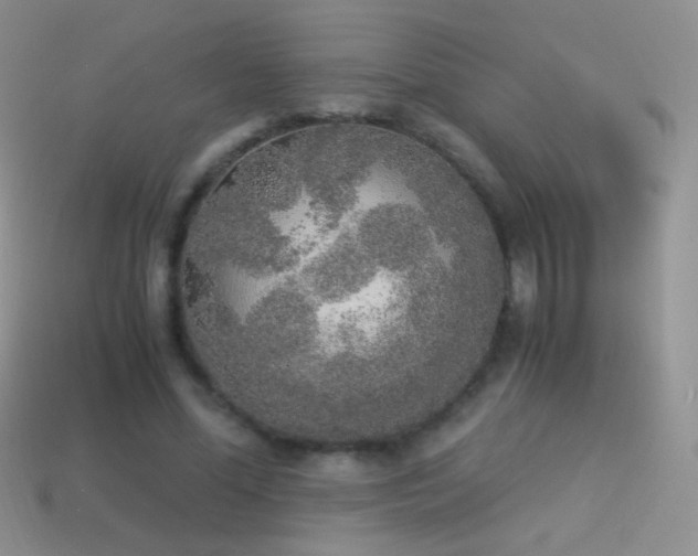 X0000114520588200910191156