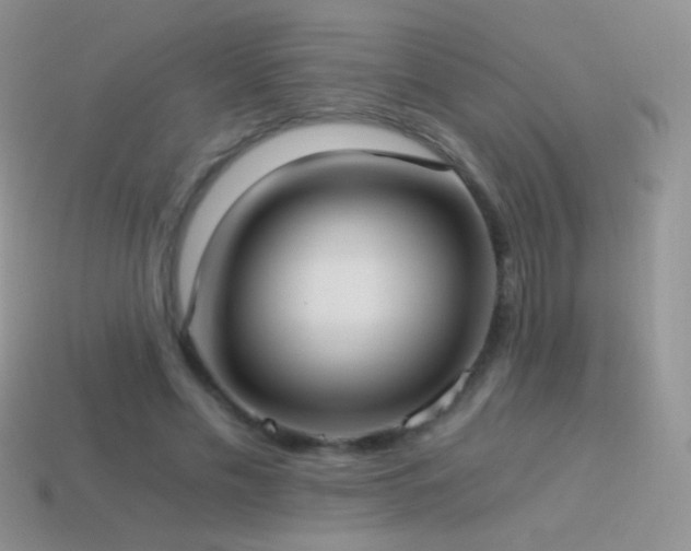 X0000114520589200910191156