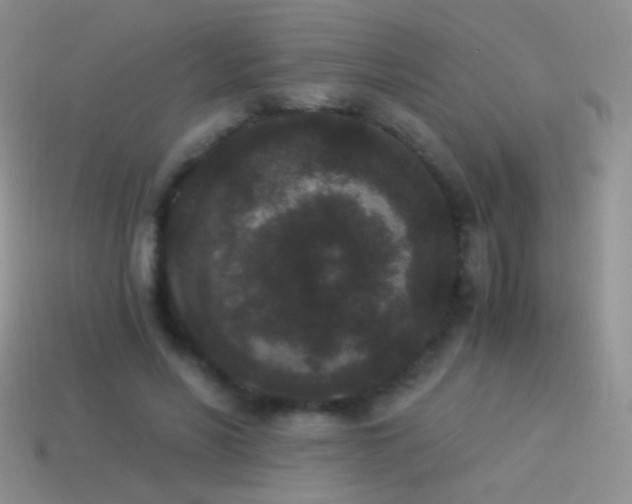 X0000114520590200910191156