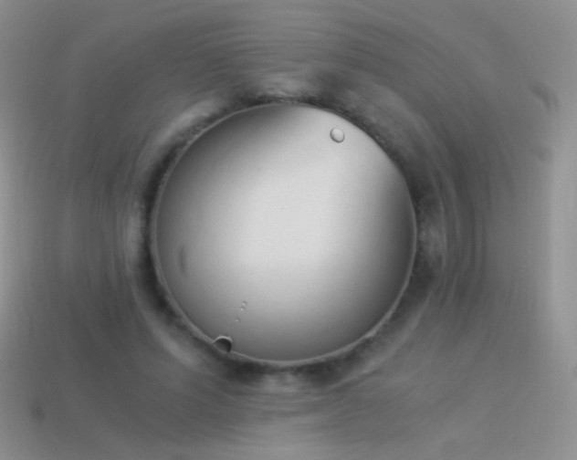 X0000114520591200910191156