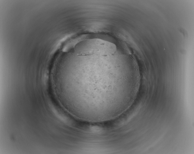 X0000114520592200910191156