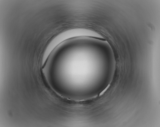 X0000114520593200910191156