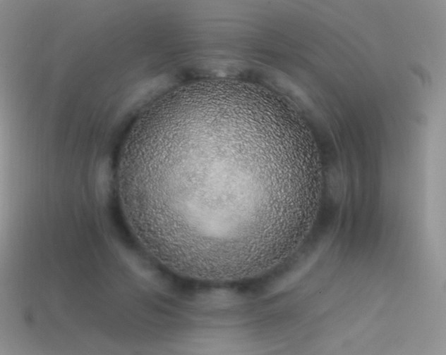 X0000114520594200910191156