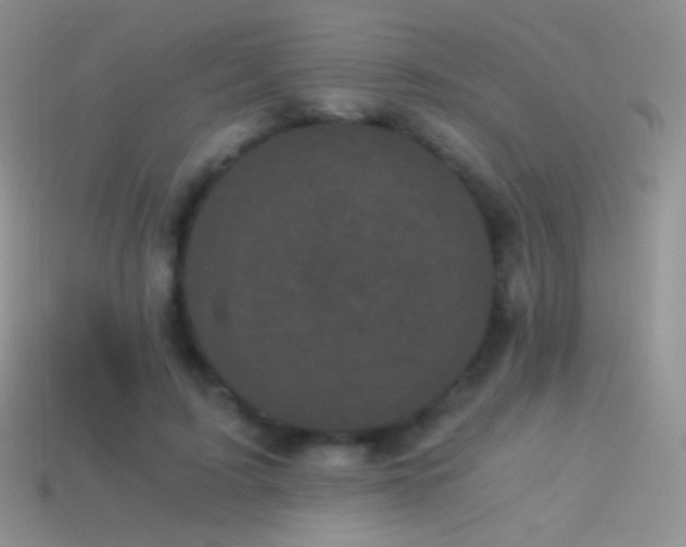 X0000114520595200910191156