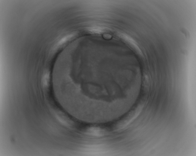 X0000114520596200910191156