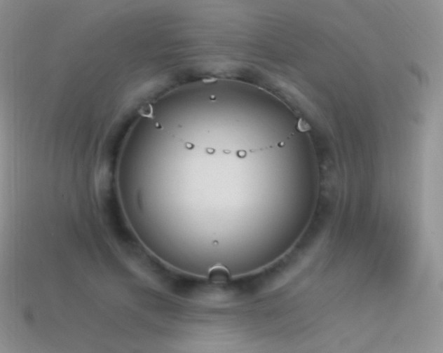 X0000114520597200910191156