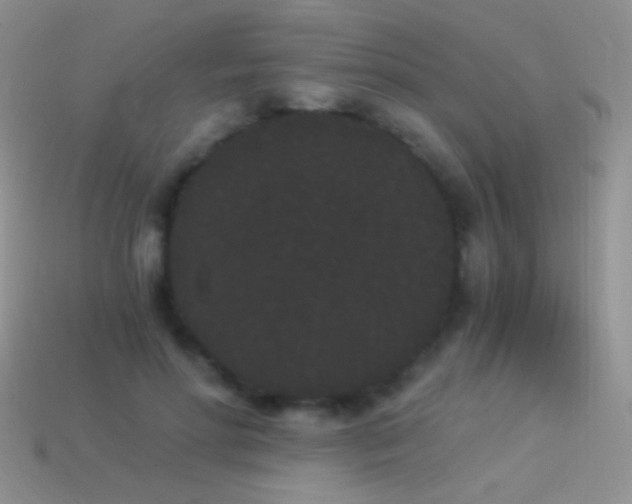 X0000114520598200910191156