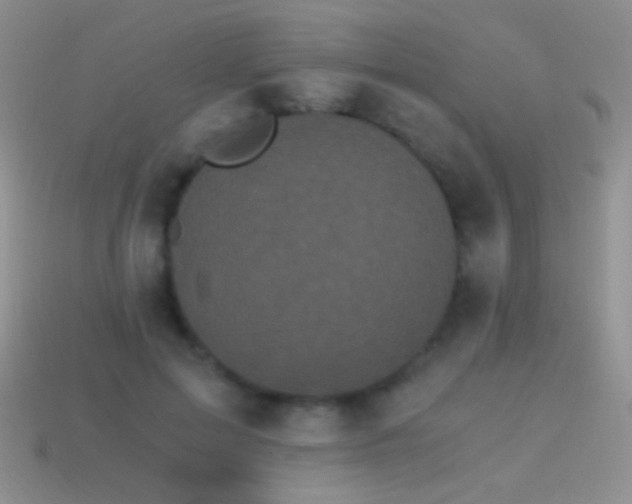 X0000114520599200910191156