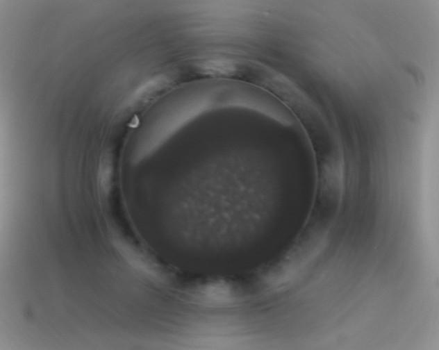 X0000114520600200910191156