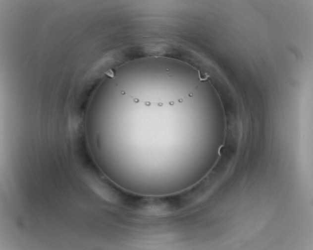 X0000114520601200910191156