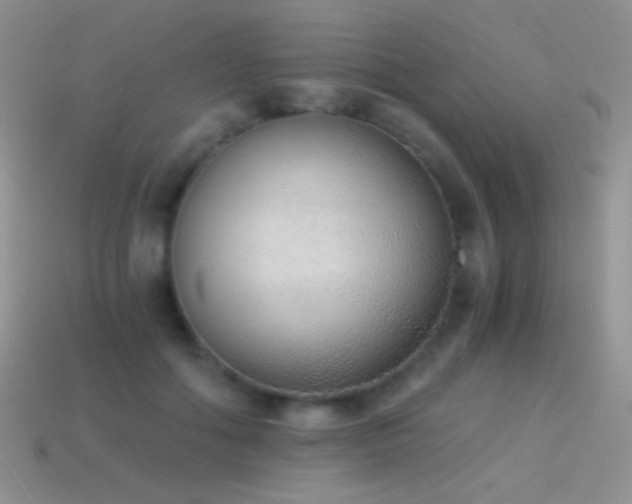 X0000114520602200910191156