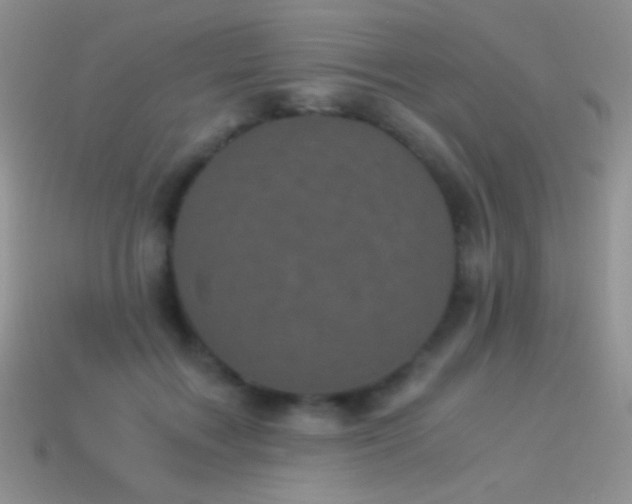 X0000114520603200910191156