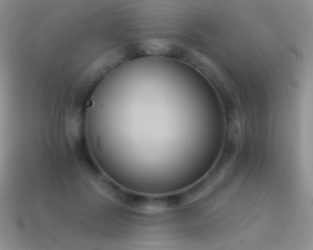 X0000114520604200910191156