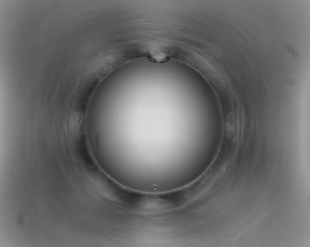 X0000114520605200910191156