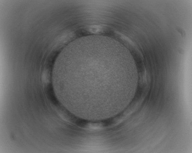 X0000114520606200910191156