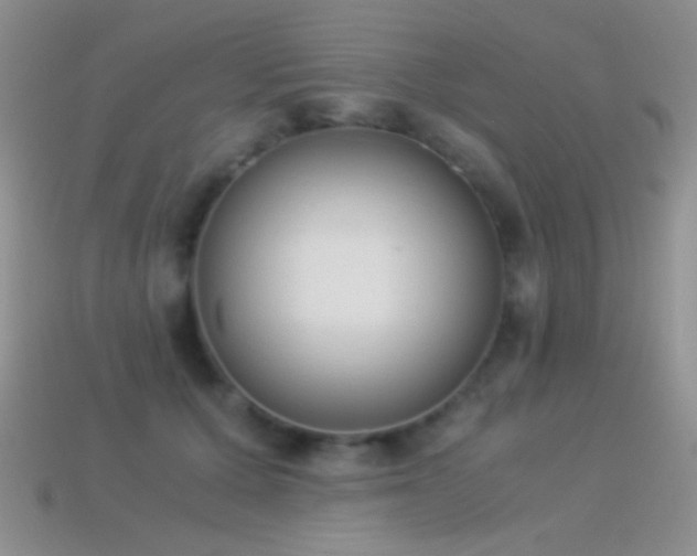 X0000114520607200910191156