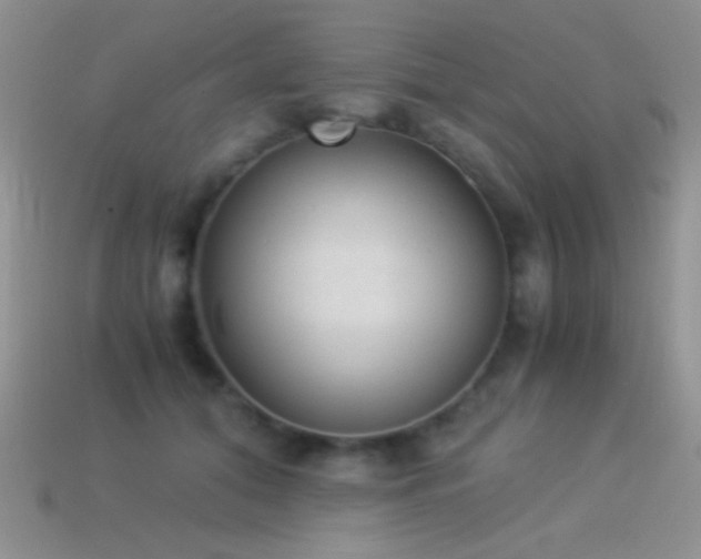 X0000114520608200910191156