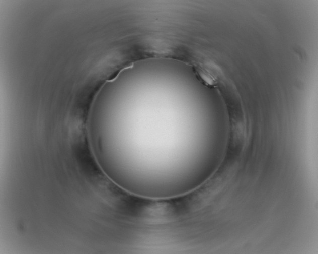 X0000114520609200910191156