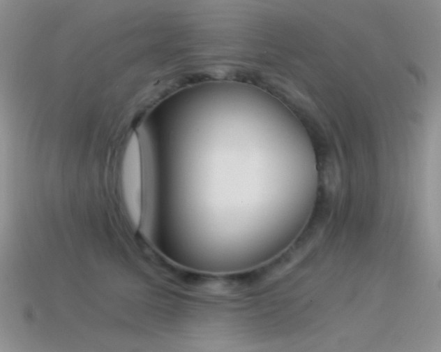 X0000114520611200910191156