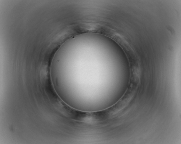 X0000114520612200910191156