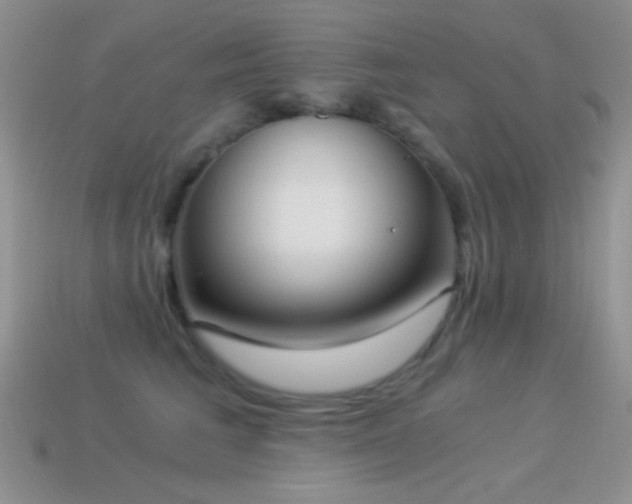 X0000114520613200910191156