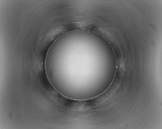 X0000114520615200910191156