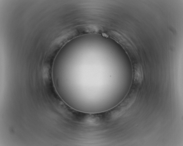 X0000114520616200910191156