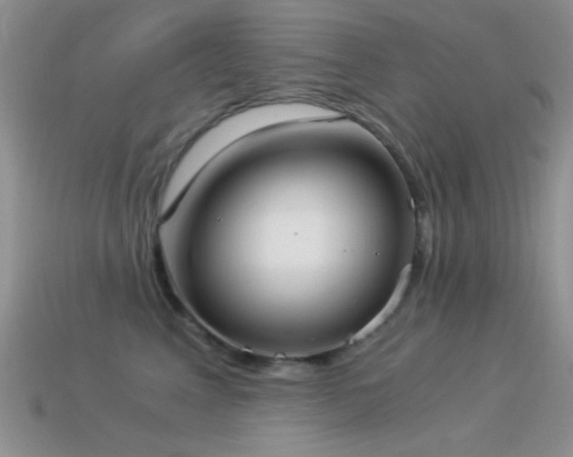 X0000114520617200910191156