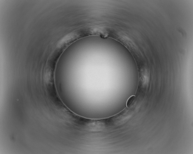 X0000114520619200910191156