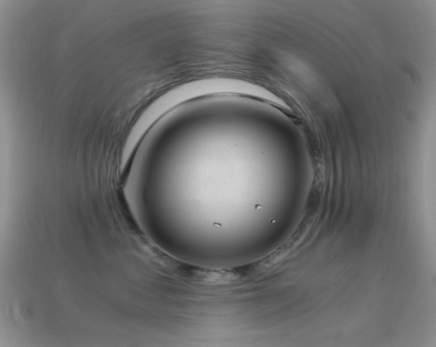 X0000114520621200910191156