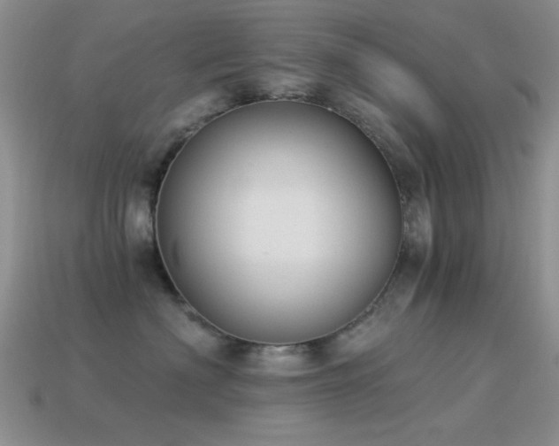 X0000114520622200910191156