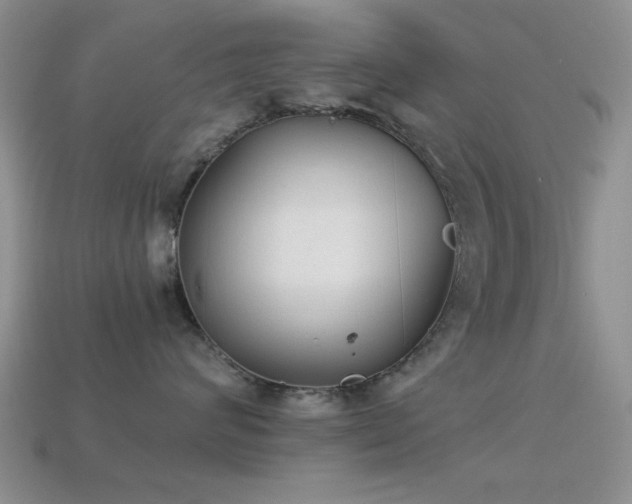 X0000114520624200910191156