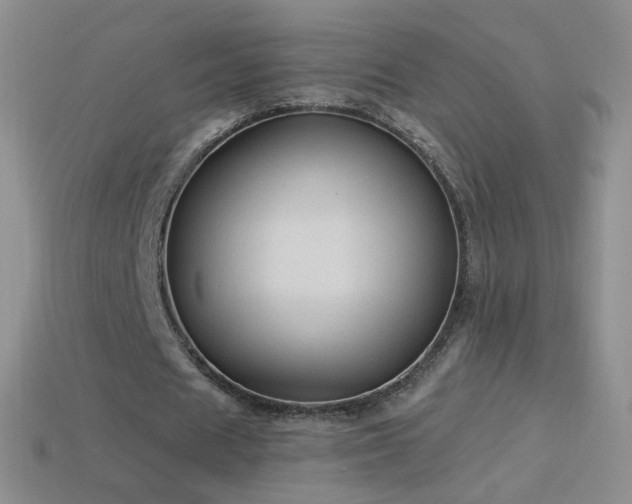 X0000114520625200910191155