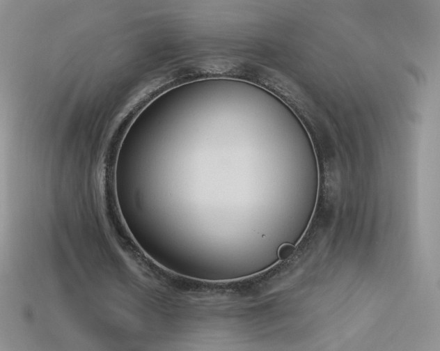 X0000114520626200910191155