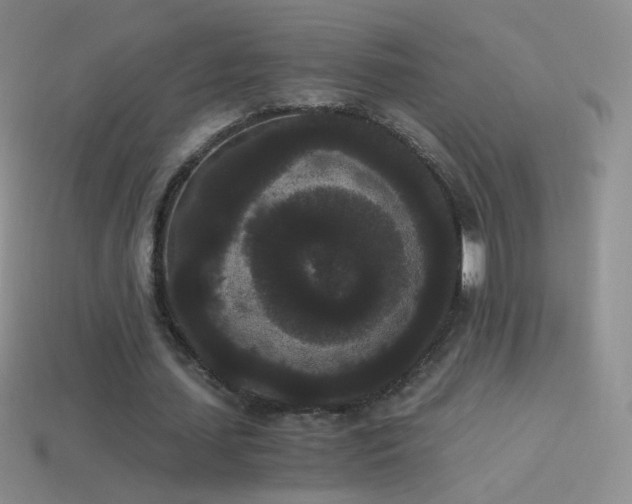 X0000114520627200910191155