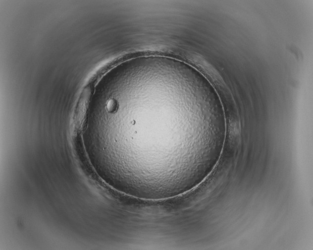 X0000114520628200910191155