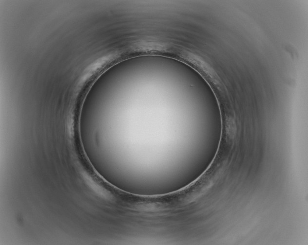 X0000114520629200910191155