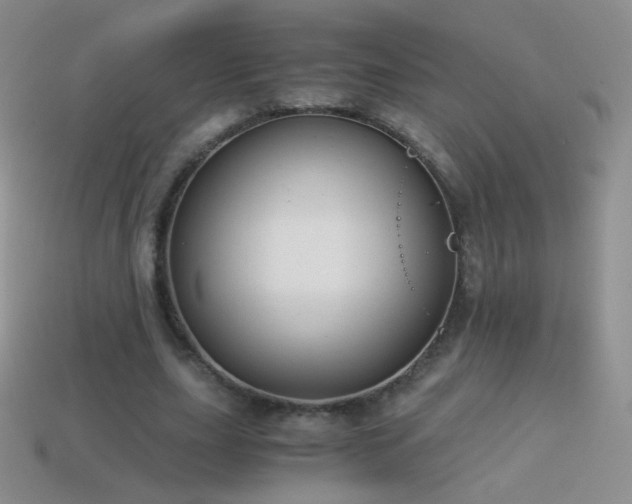 X0000114520631200910191155