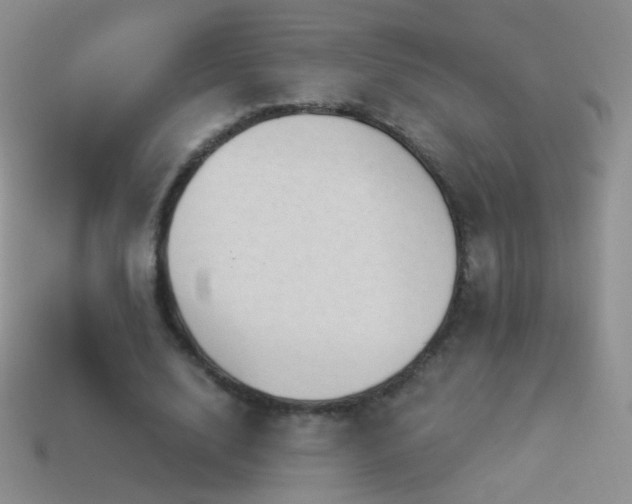 X0000114520632200910191155