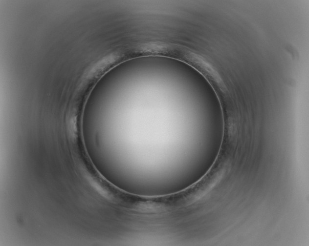 X0000114520633200910191155