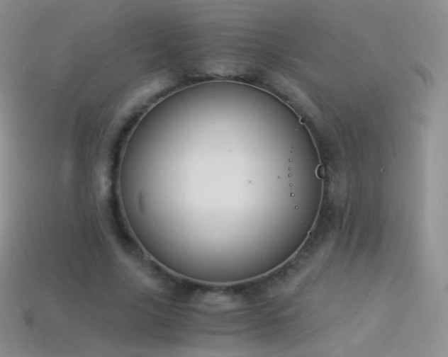 X0000114520635200910191155