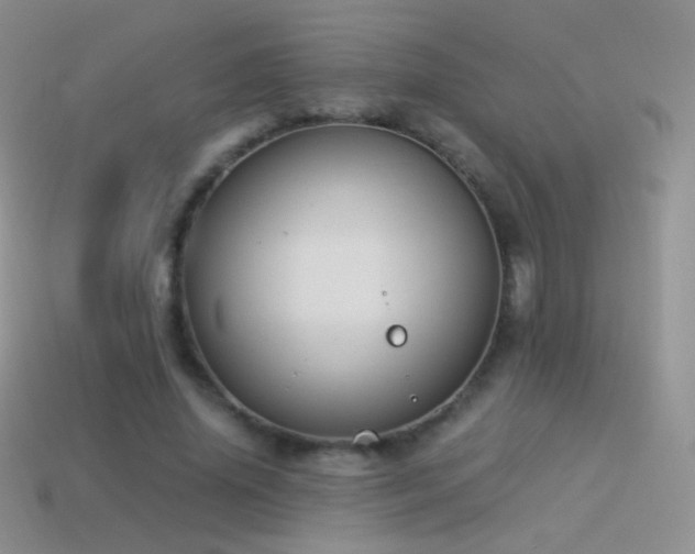 X0000114520636200910191155