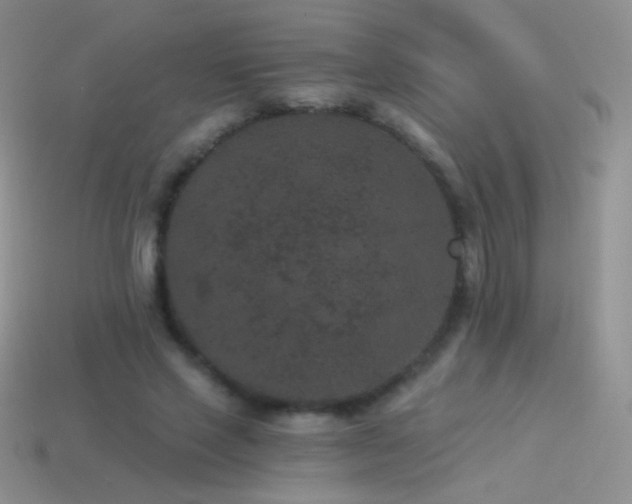 X0000114520637200910191155