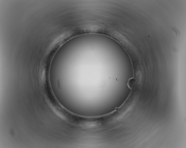 X0000114520638200910191155