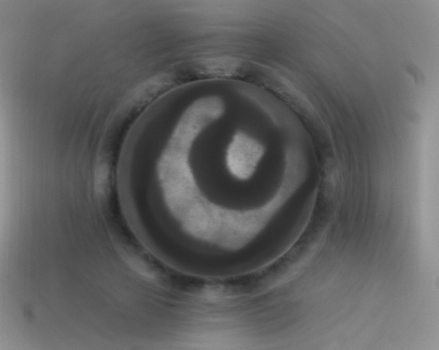 X0000114520641200910191155