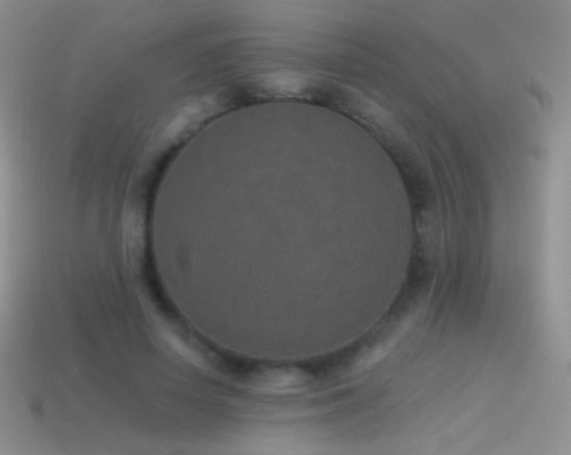 X0000114520642200910191155