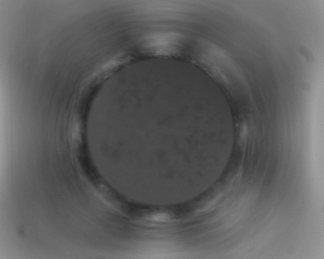 X0000114520643200910191155